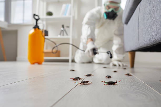 Commercial Kitchen Cockroach Control in Keene